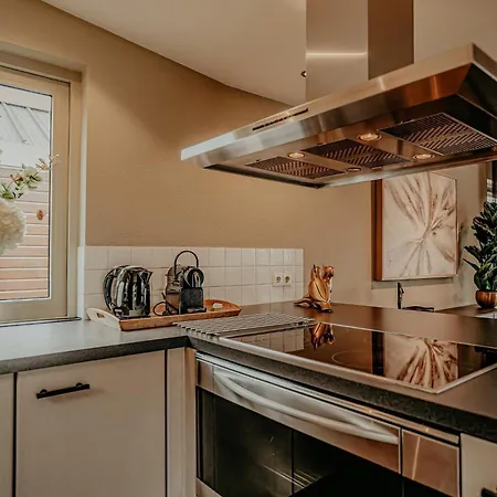 בית נופש Houseboat In Netherlands With Private Dock